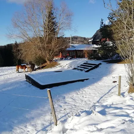 Penzion Farma U Mauritzů, 42, Stožec, 38444, Czech Republic 3*