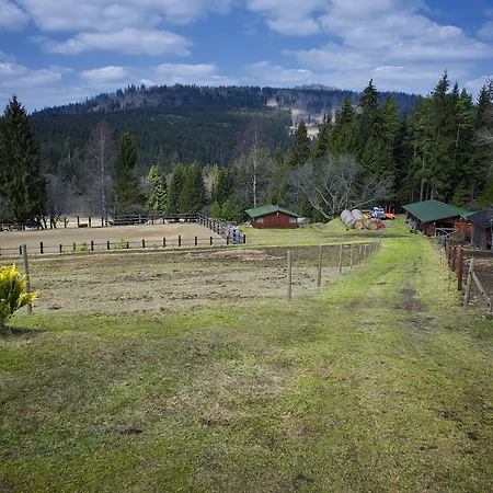 Farma U Mauritzu, 42, Stozec, 38444, Czech Republic