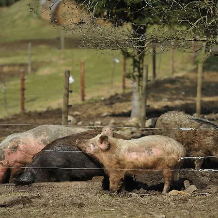Farma U Mauritzu, 42, Stozec, 38444, Czech Republic Stožec