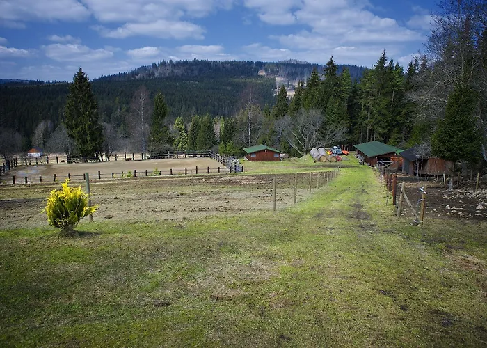 Farma U Mauritzů, 42, Stožec, 38444, Czech Republic